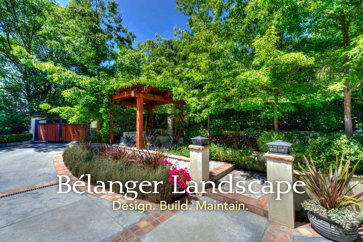 Belanger Lanscape: Maintain.